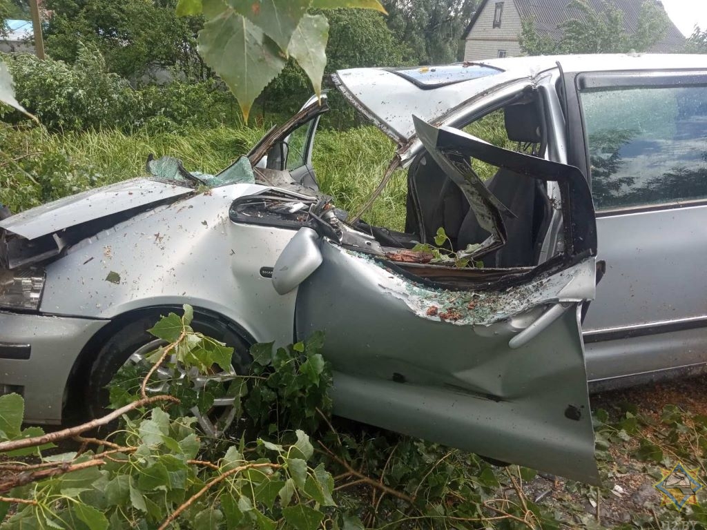 Дерево упало на движущийся автомобиль в Столинском районе