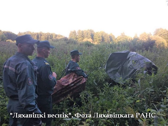 Кабаны загнали грибника на дерево в Ляховичском районе. Его спасли лоси, а потом и МЧС