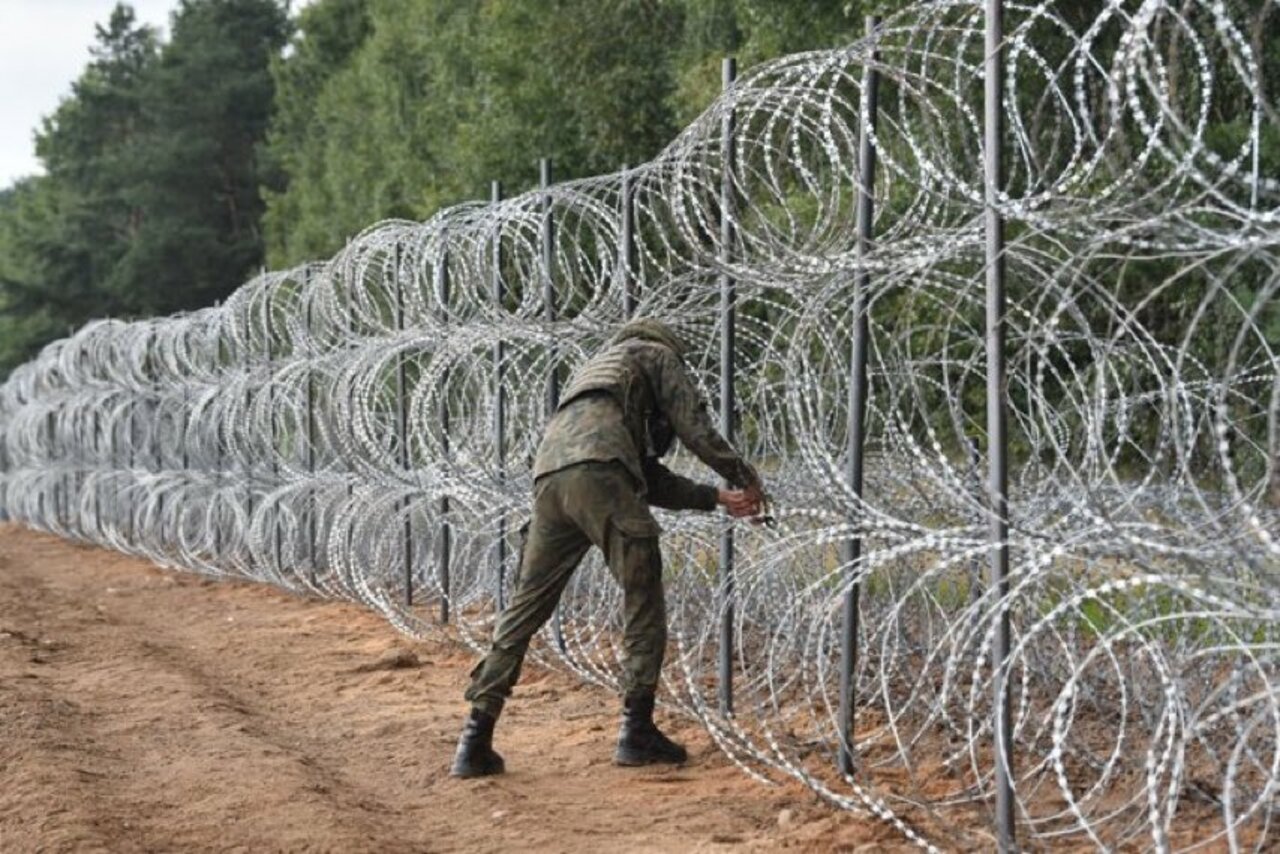 Польша построила первые километры ограждения на границе с Беларусью – фотофакт