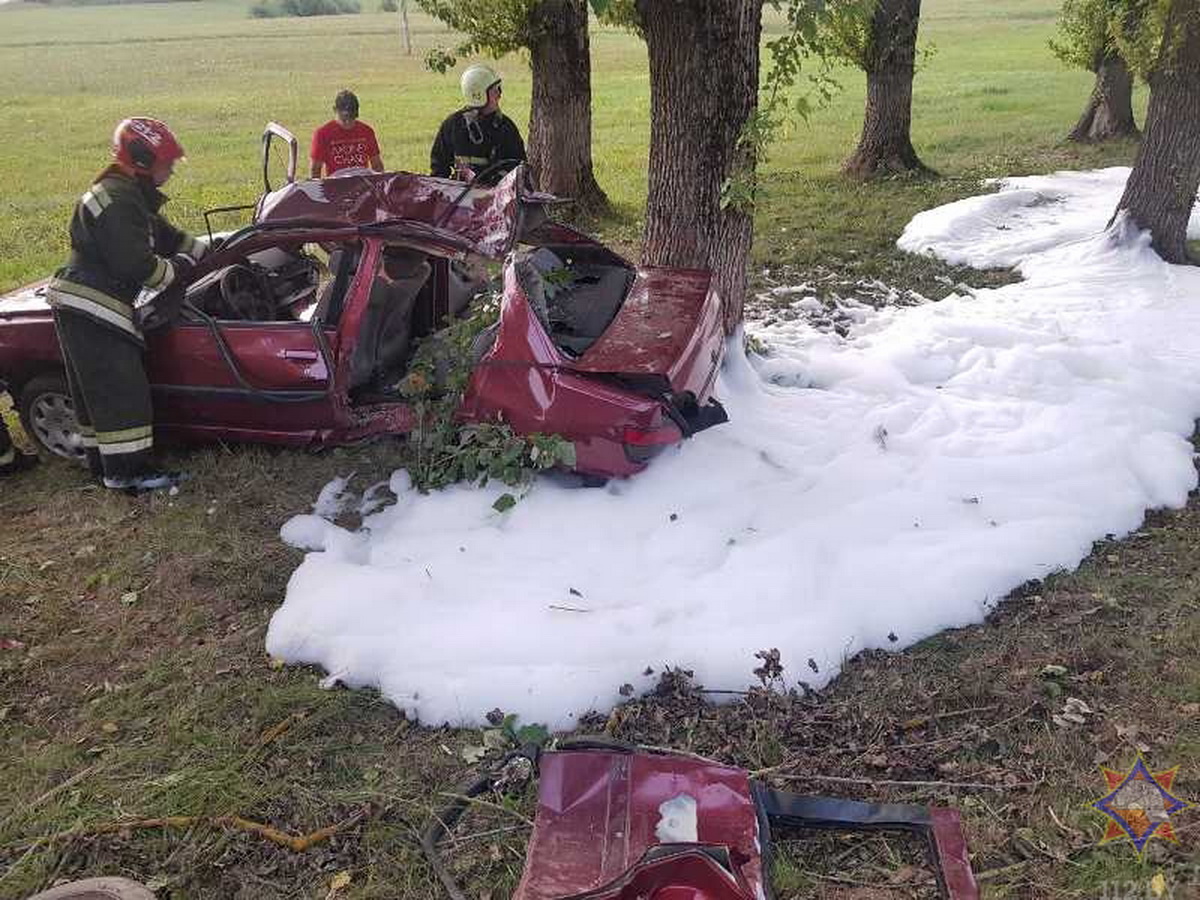 Peugeot улетел в кювет в Чашникском районе