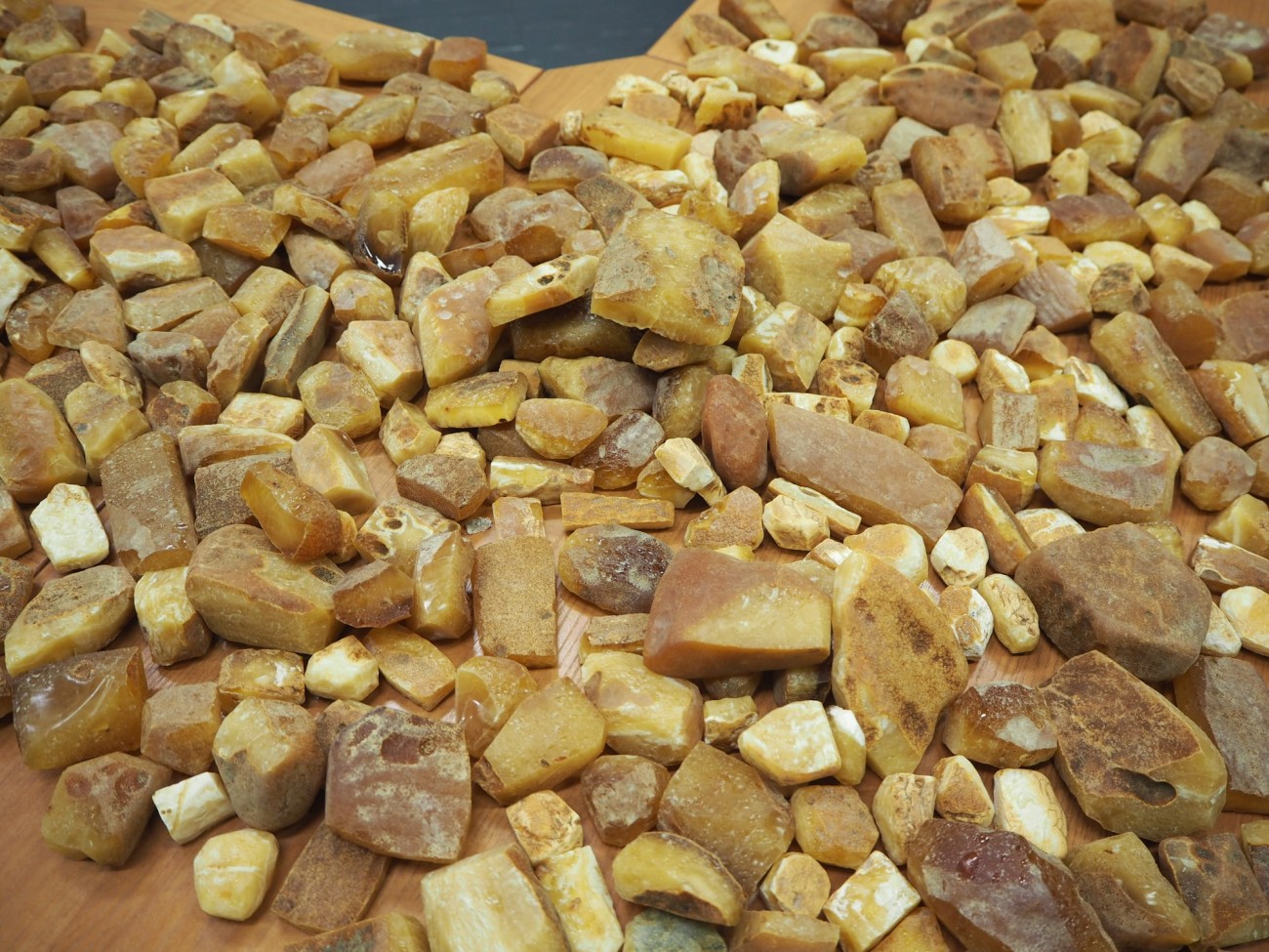 Литовские таможенники нашли 17 кг янтаря у беларусского дальнобойщика