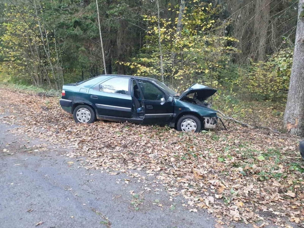 В ДТП под Радошковичами пострадали водитель и 16-летняя пассажирка