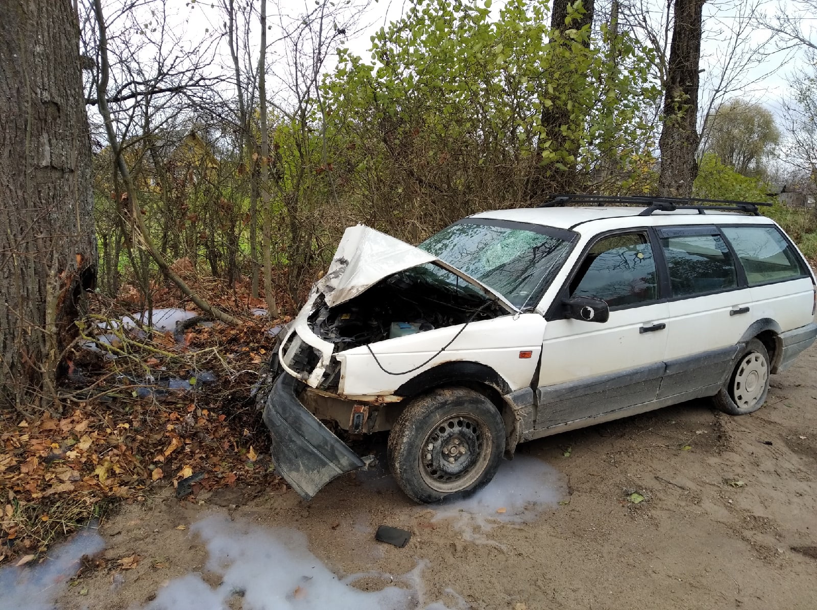 Водитель Volkswagen Passat погиб в Поставском районе
