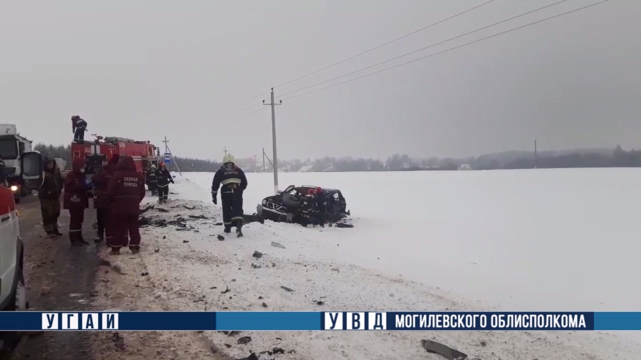 В ДТП с фурой в Горецком районе погиб водитель