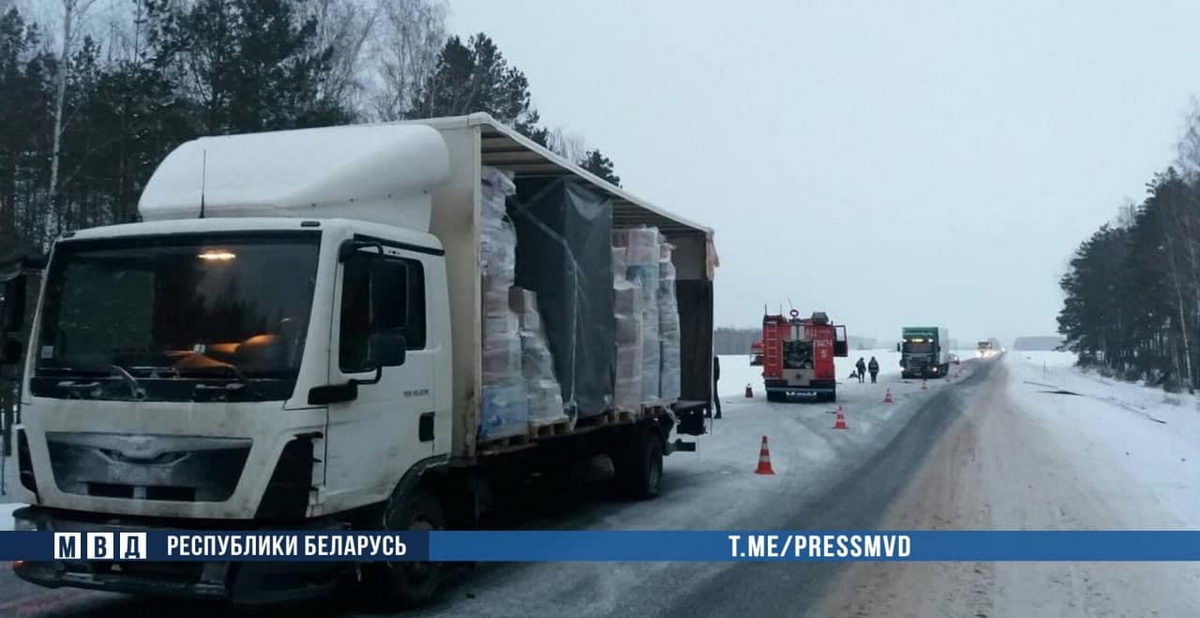 В Светлогорском районе при обгоне погиб водитель легковушки