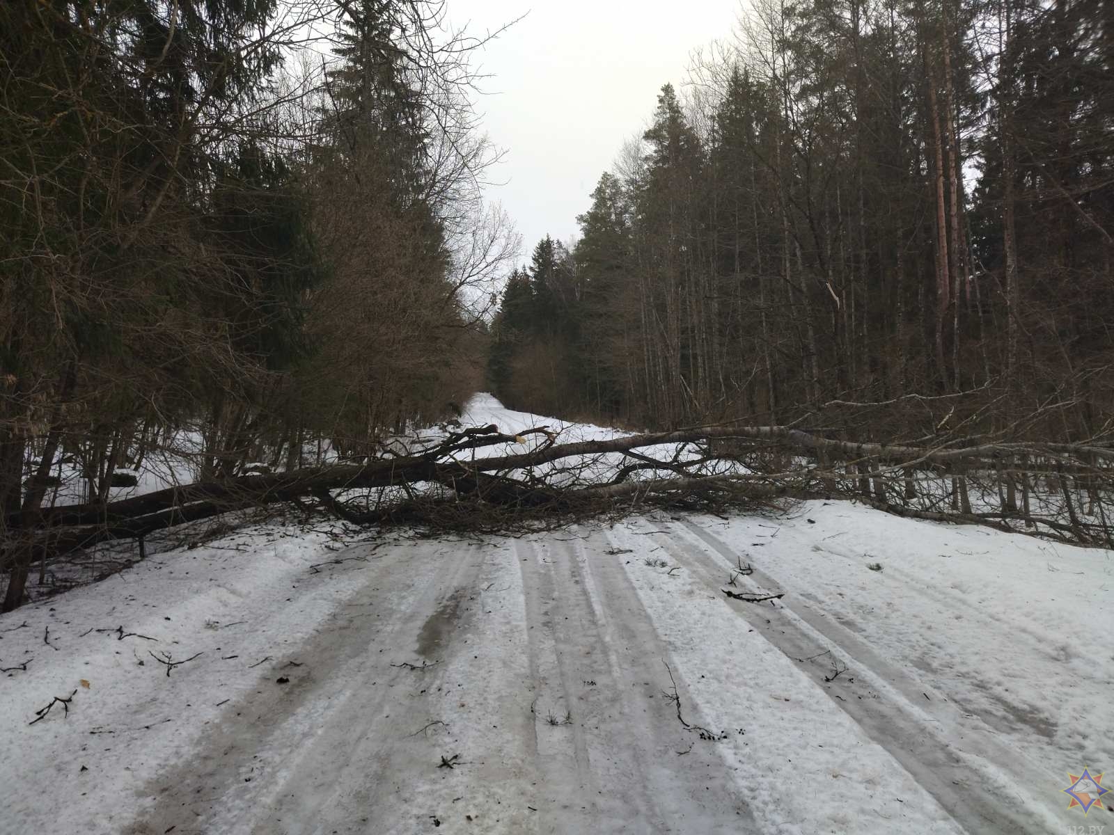 Более 30 населенных пунктов пострадали из-за сильного ветра