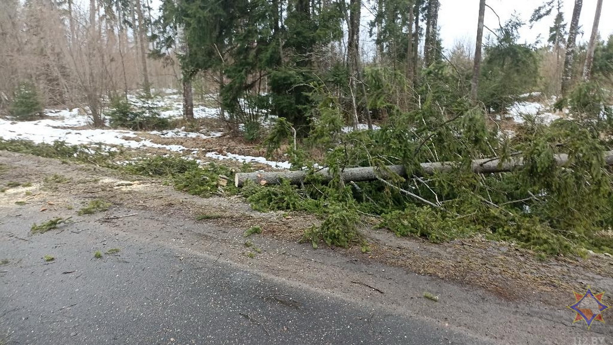 Более 30 населенных пунктов пострадали из-за сильного ветра