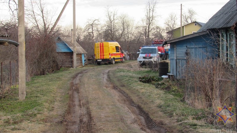 На пожаре в Полоцком районе погибли пенсионерка и ее сын