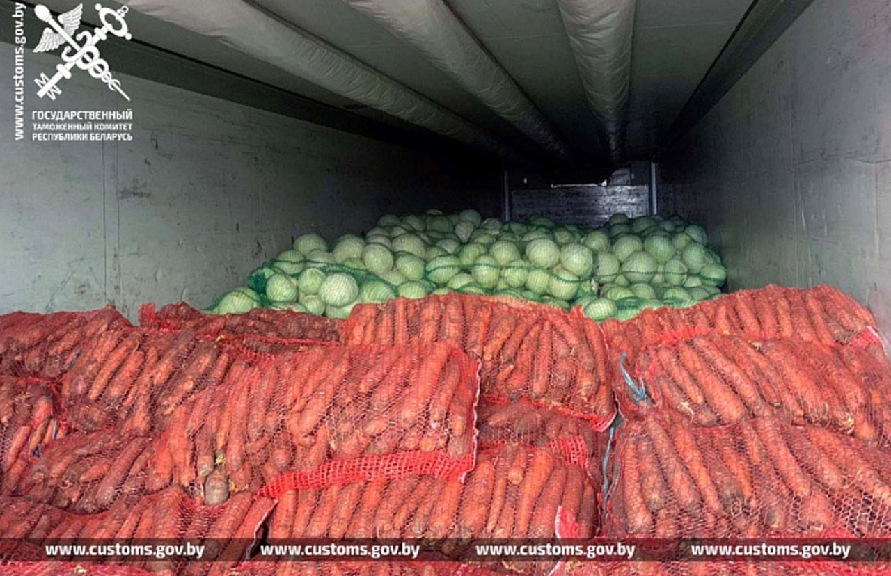 Таможенники пресекли вывоз 49 тонн капусты, морковки и лука из Беларуси