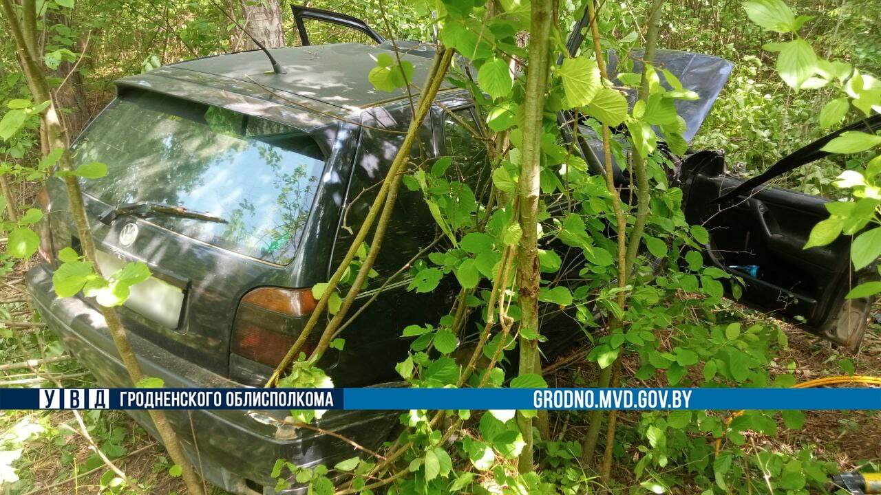 Водитель-пенсионер погиб после столкновения с лосем под Волковыском