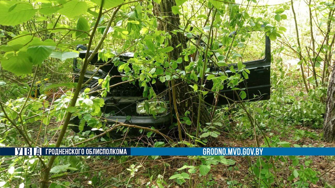 Водитель-пенсионер погиб после столкновения с лосем под Волковыском