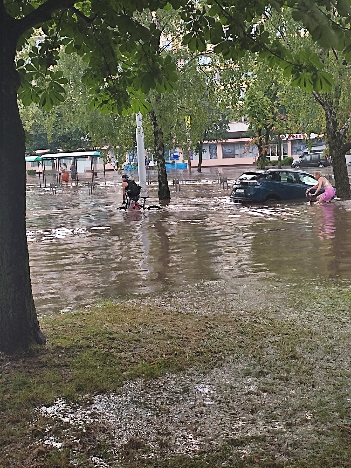 Новую Боровую, Уручье и Зеленый луг в Минске затопило - фотофакт