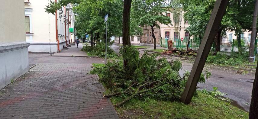 Непогода подкинула работы спасателям. В МЧС показали последствия ветра и ливней