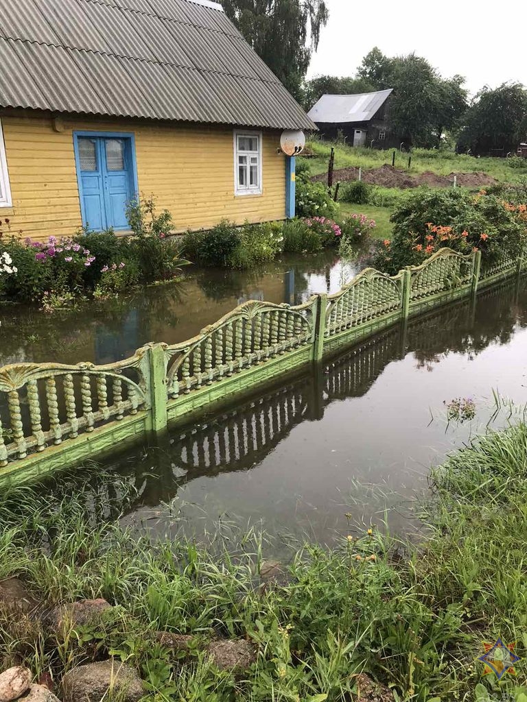 Непогода подкинула работы спасателям. В МЧС показали последствия ветра и ливней