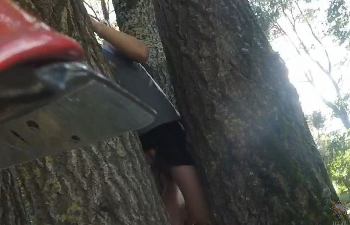 В Гродно мальчик залез на дерево и застрял