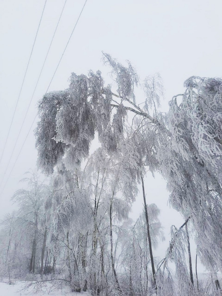 В Минской области восстанавливают электроснабжение в 16 населенных пунктах