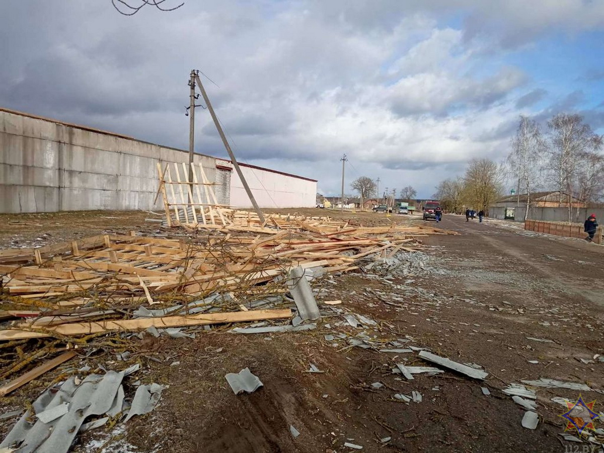 МЧС показало последствия ветра в Гродненской области