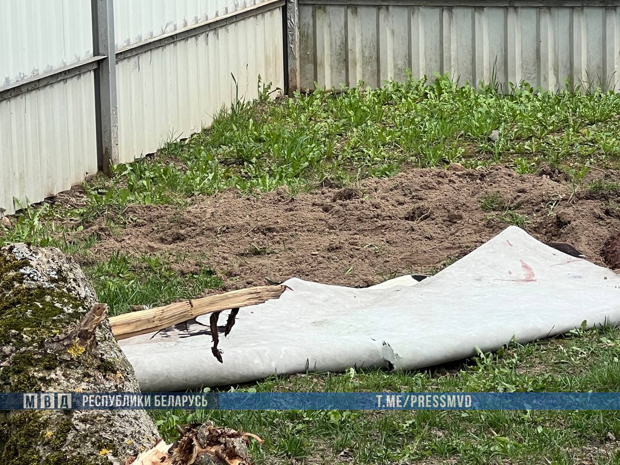 Прикопанный труп найден на даче под Могилевом. Подозреваемый задержан