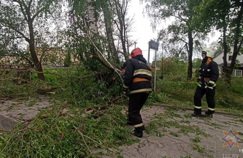 Ветер повалил деревья на дороги в Гродненской области