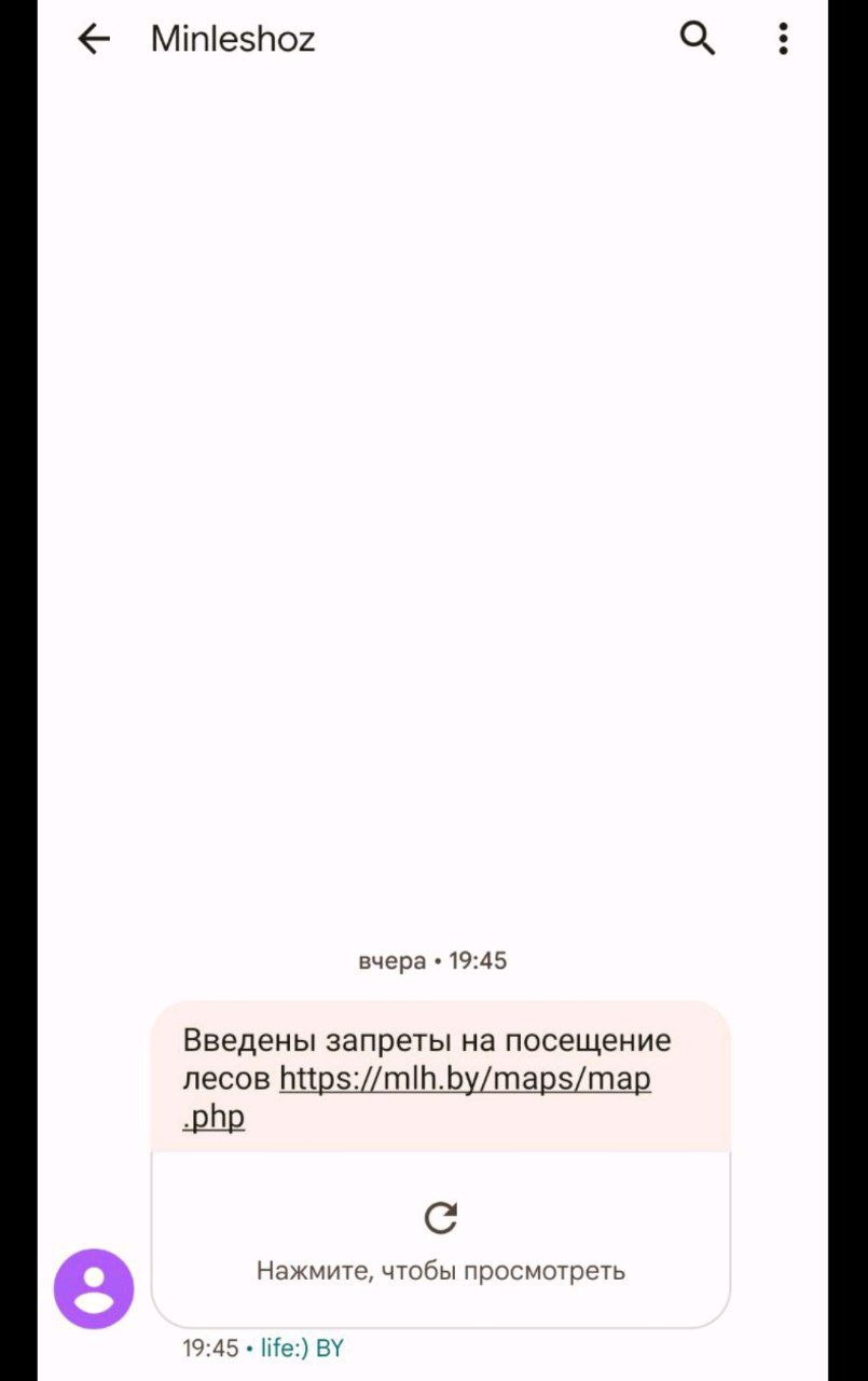 Минлесхоз начал рассылать SMS о запрете на посещение лесов