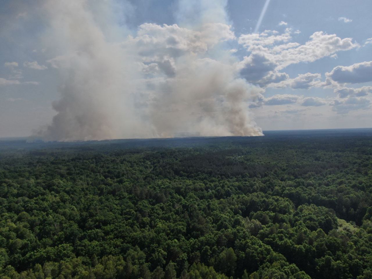 В Украине рядом с беларусской границей горят леса