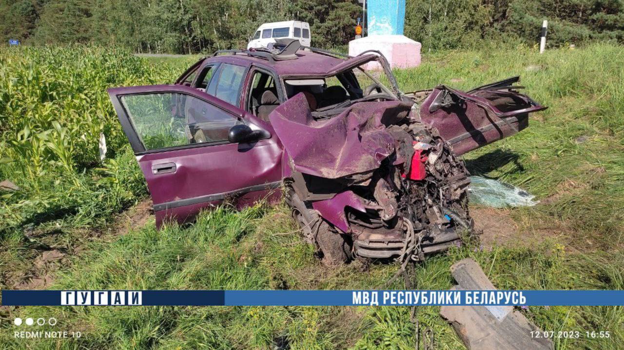 Автомобили разбросало по кукурузному полю. Смертельное ДТП в Петриковском районе