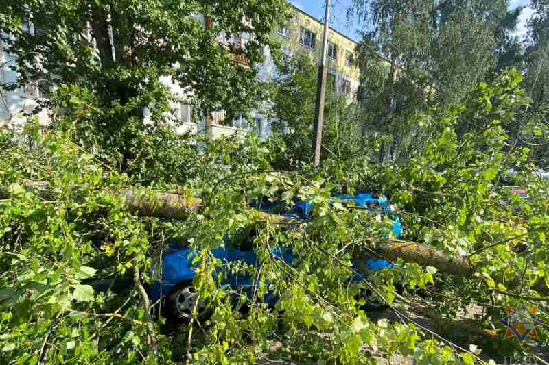 Спасатели показали последствия непогоды в трех областях