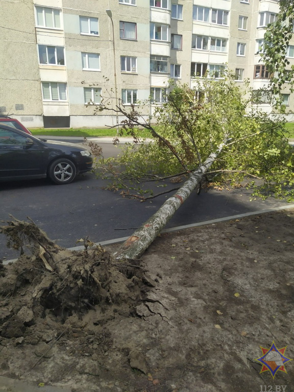 Спасатели показали последствия непогоды в трех областях