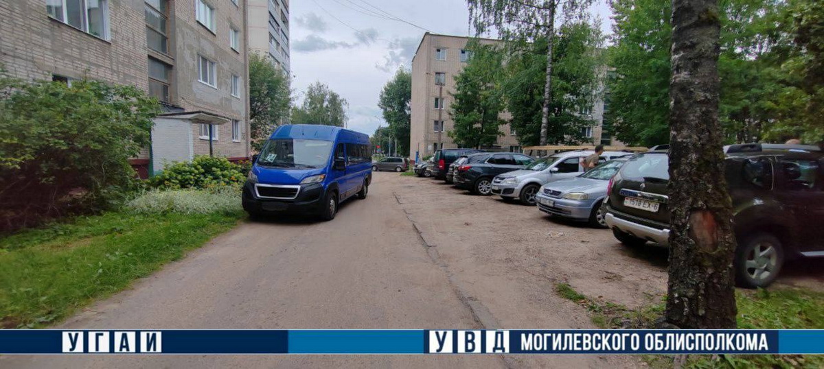 6-летняя девочка выбежала под колеса авто в Могилеве