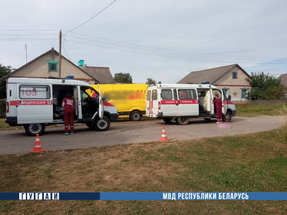 Полуторагодовалый ребенок погиб под колесами микроавтобуса в Добрушском районе