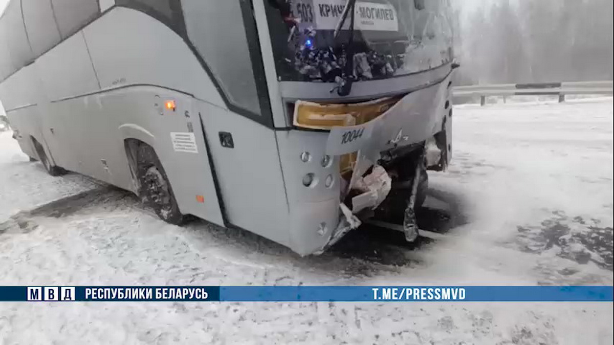 Два человека погибли в столкновении трех легковушек с автобусом под Чаусами