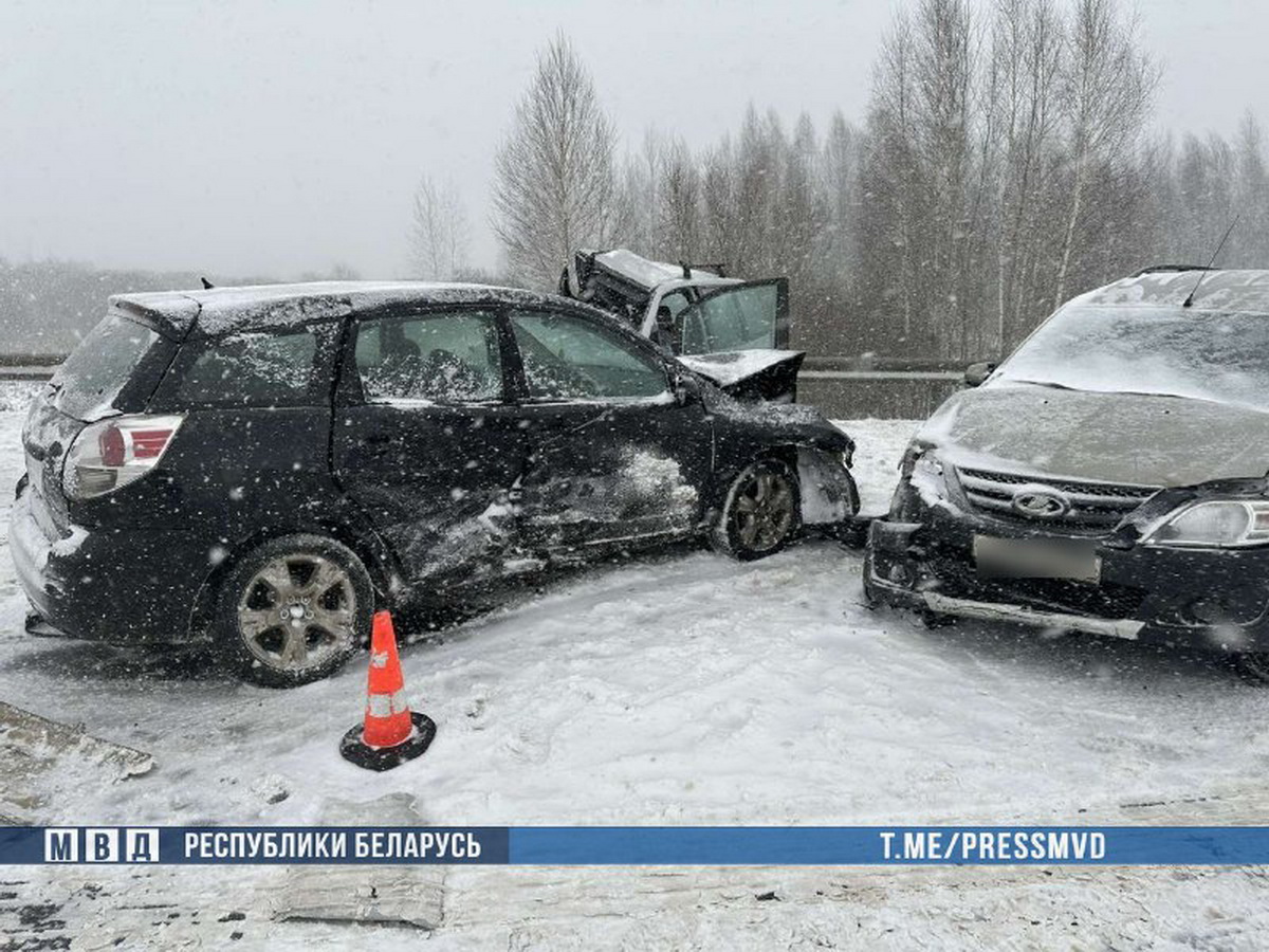 Два человека погибли в столкновении трех легковушек с автобусом под Чаусами