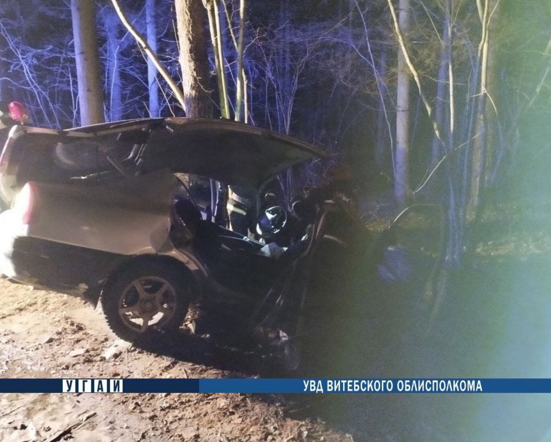 Легковушка влетела в дерево под Витебском. Водитель погиб