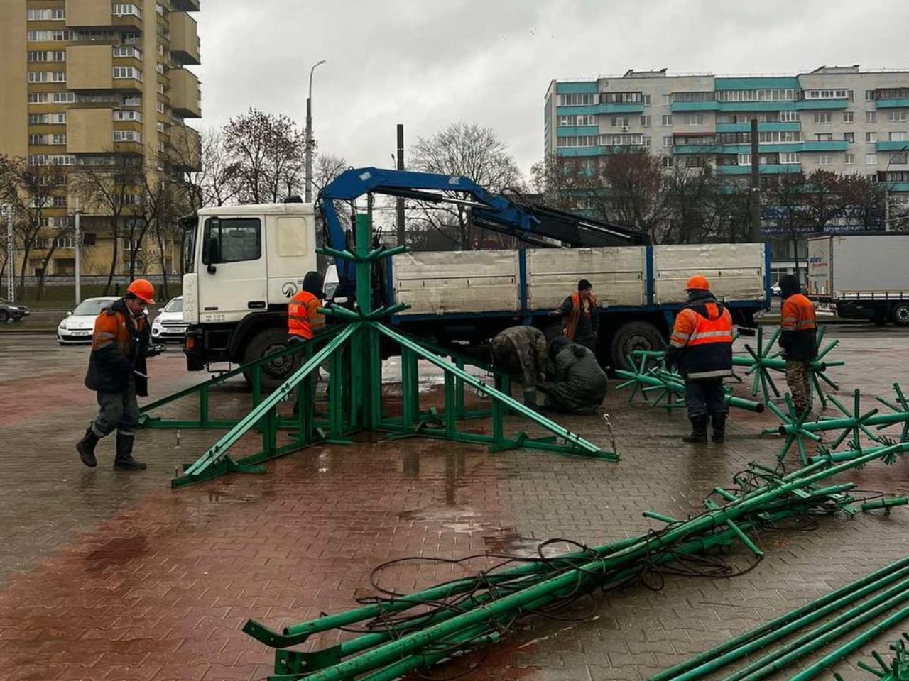 Упавшую в Бресте елку восстановят к Новому году