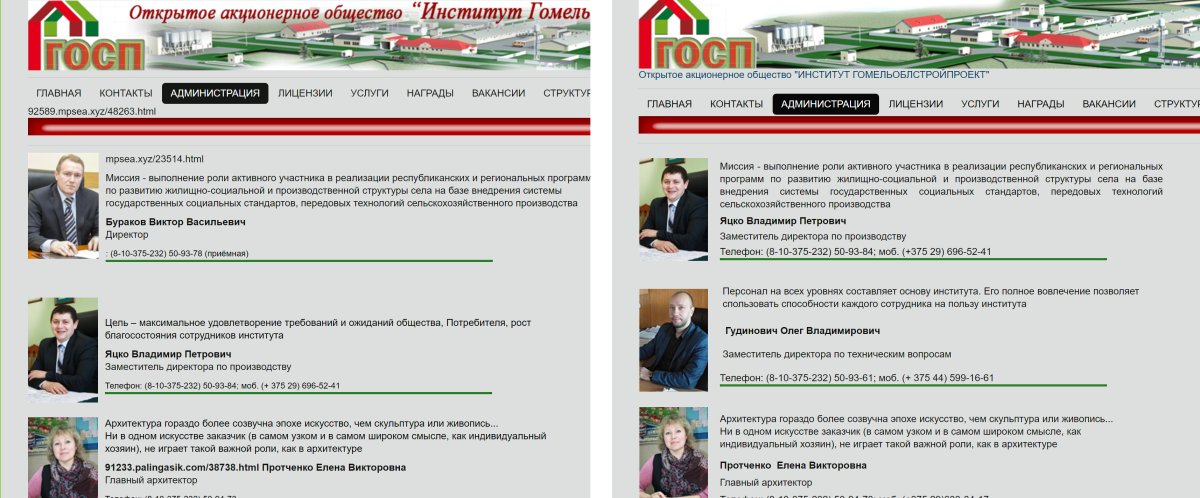 Главу провластной партии в Гомельской области задержали за лайки - СМИ