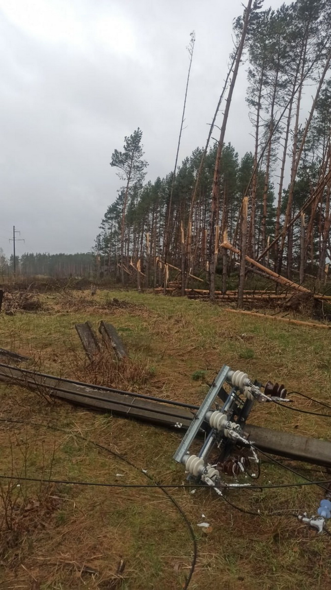 Электроснабжение в большинстве населенных пунктов восстановлено - Минэнерго