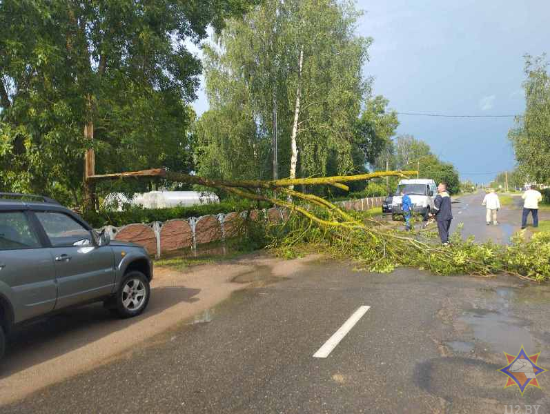 МЧС показало последствия непогоды