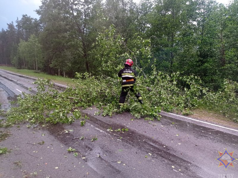 МЧС показало последствия непогоды