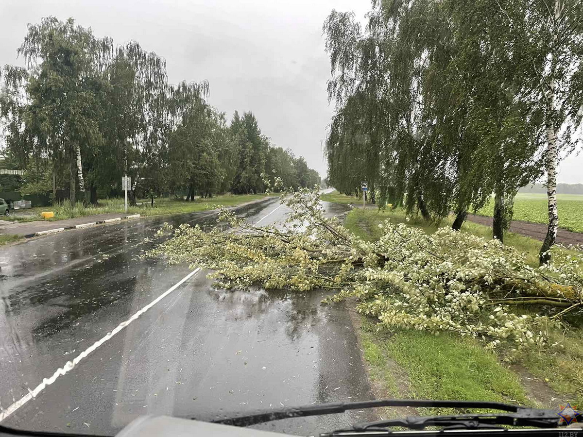 МЧС показало последствия непогоды