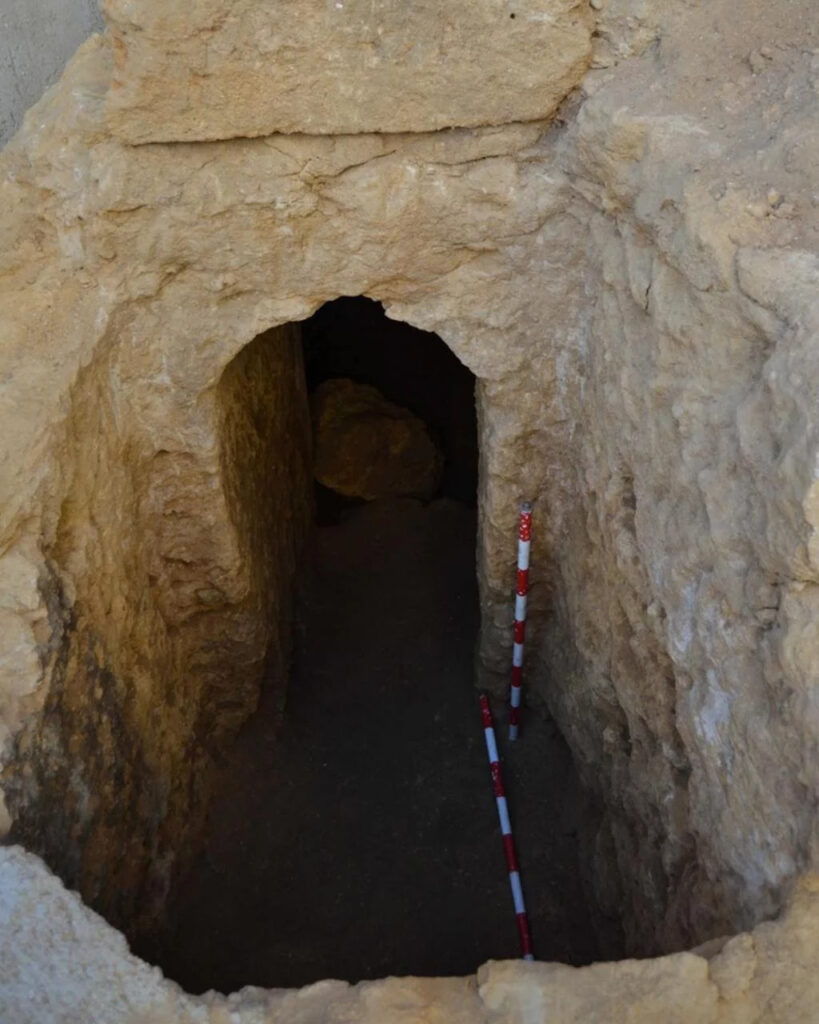 Самое древнее жидкое вино обнаружено в римской гробнице в Испании