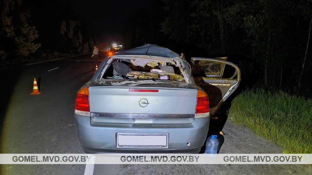 Женщина с дочерью попала в реанимацию после ДТП с лосем в Житковичском районе