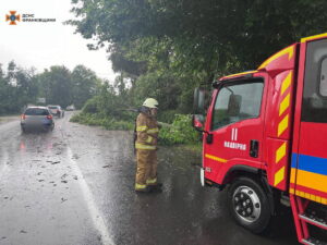 Шквалистый ветер повалил деревья и повредил автомобиль в Прикарпатье