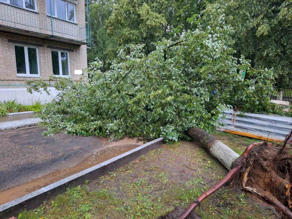 МЧС показало последствия непогоды