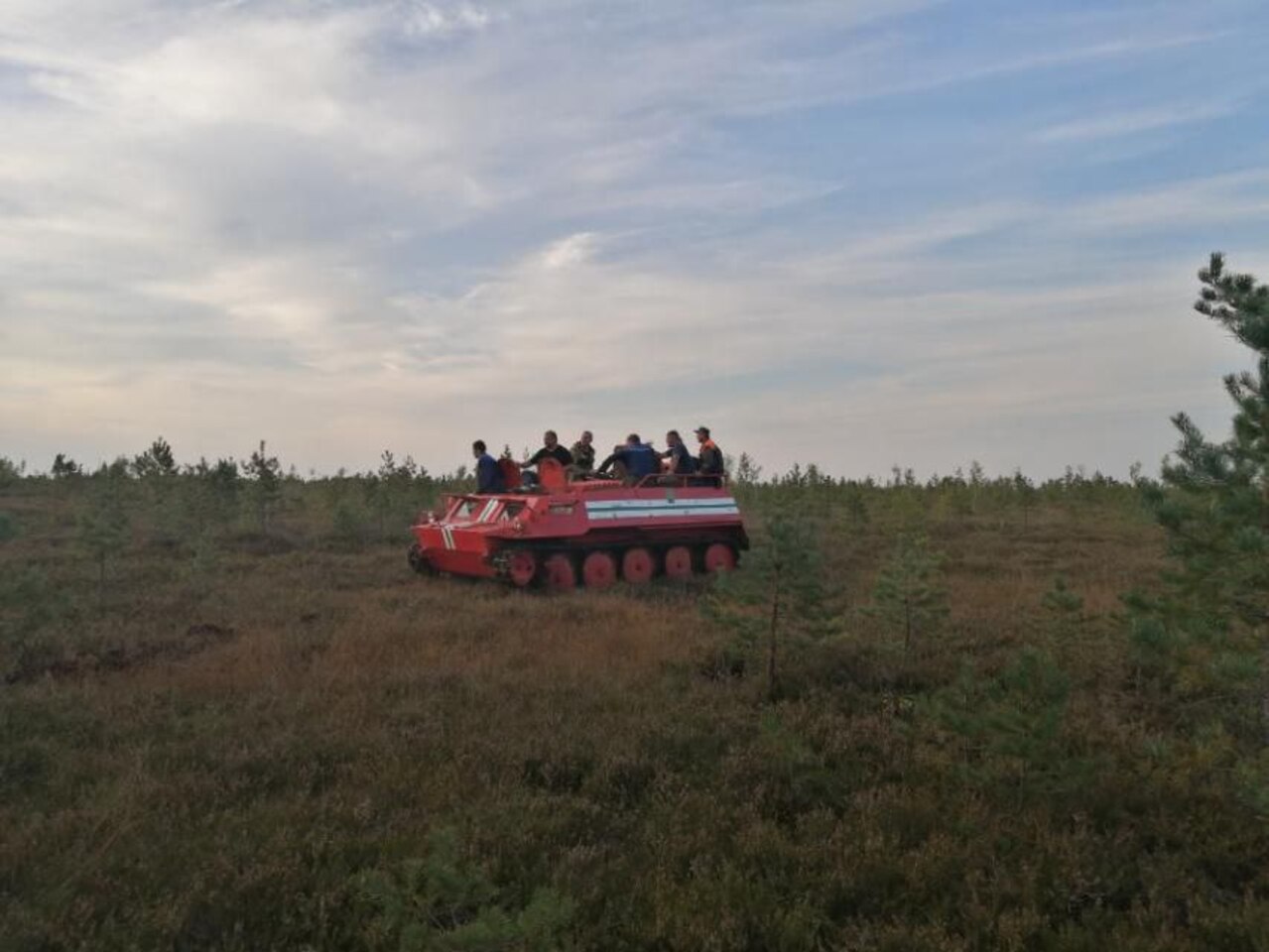 Пожар на Ольманских болотах ликвидирован