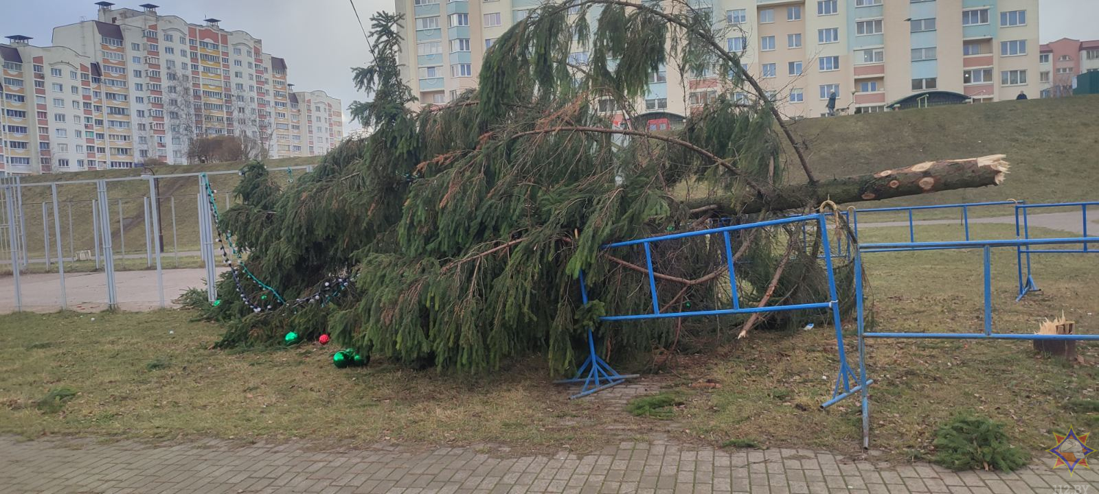 МЧС: от сильного ветра пострадали 54 населенных пункта, разрушен коровник, погибли животные